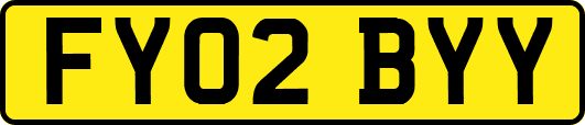 FY02BYY