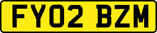 FY02BZM