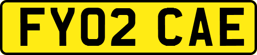 FY02CAE