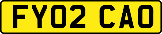 FY02CAO
