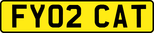 FY02CAT