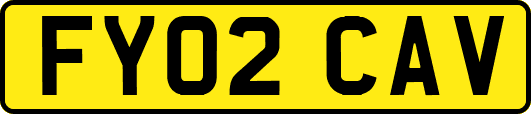 FY02CAV
