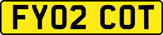 FY02COT