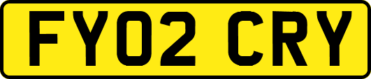 FY02CRY