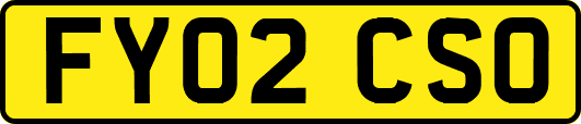 FY02CSO
