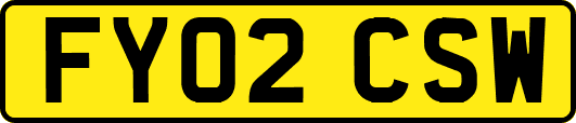FY02CSW