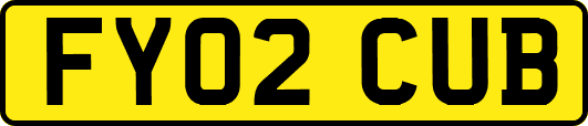 FY02CUB