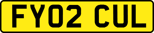 FY02CUL