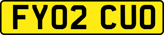 FY02CUO