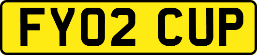 FY02CUP