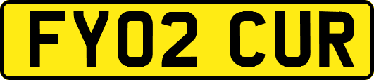 FY02CUR