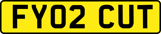 FY02CUT