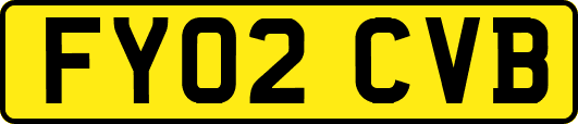FY02CVB