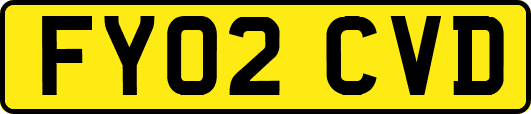 FY02CVD