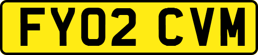 FY02CVM