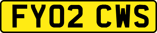 FY02CWS