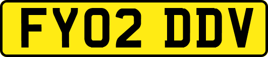 FY02DDV