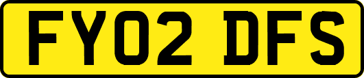 FY02DFS