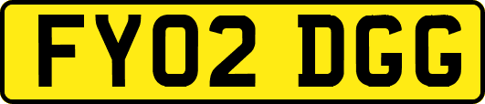 FY02DGG
