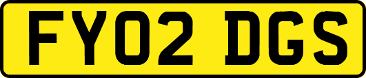 FY02DGS