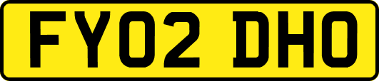 FY02DHO