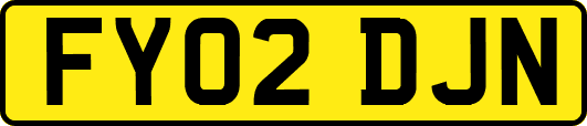 FY02DJN