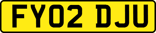 FY02DJU