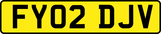 FY02DJV