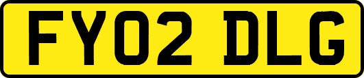 FY02DLG