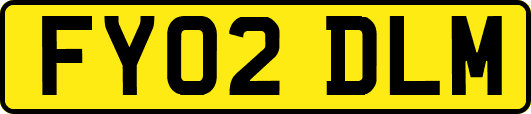 FY02DLM