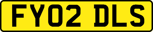 FY02DLS