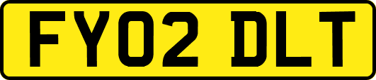 FY02DLT