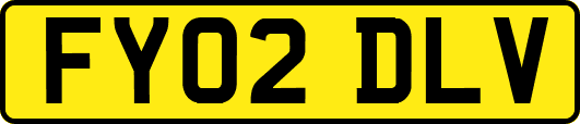 FY02DLV