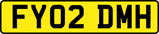FY02DMH