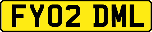 FY02DML