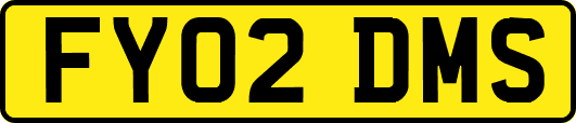 FY02DMS