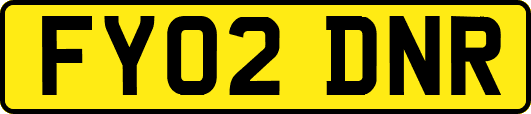 FY02DNR