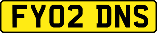 FY02DNS