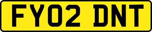 FY02DNT