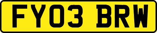 FY03BRW