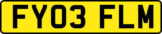 FY03FLM