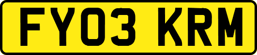 FY03KRM
