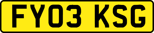 FY03KSG
