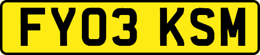 FY03KSM