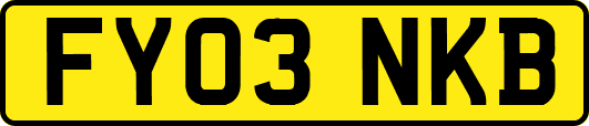FY03NKB