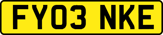FY03NKE
