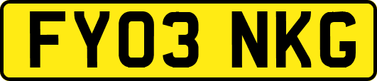 FY03NKG