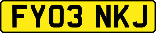 FY03NKJ