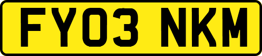 FY03NKM