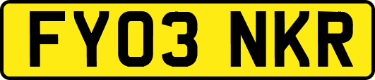 FY03NKR